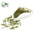 Green Tea Dubai In Bulk Package